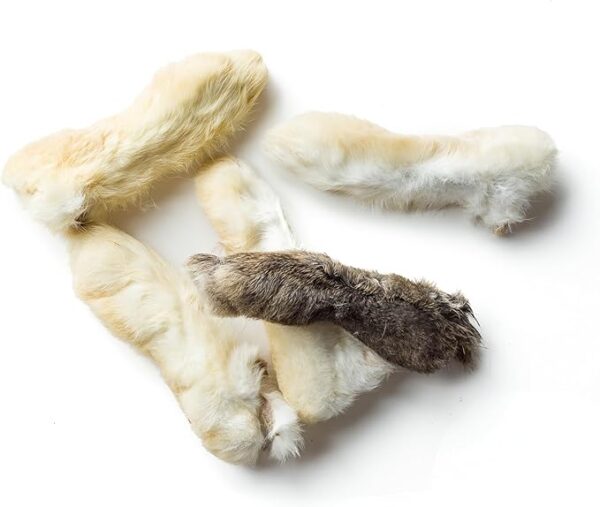 Rabbit Feet